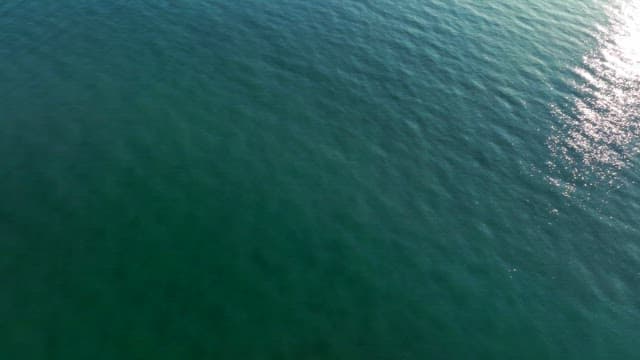 해가 비치는 푸른 바다와 숲