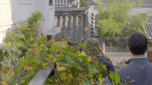 전통 한국 마을을 탐방하는 관광객
