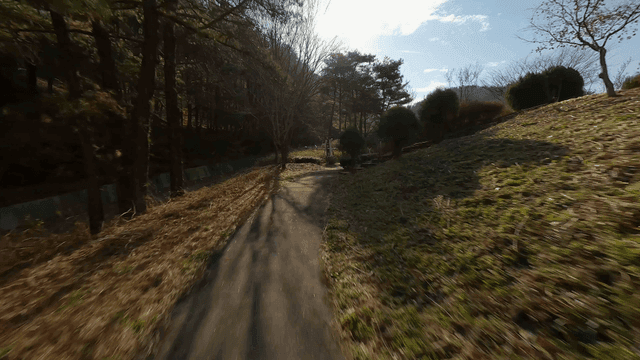 A scenic path through a forested area