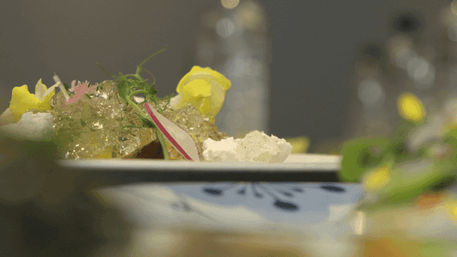 Beautifully presented gourmet salad dish