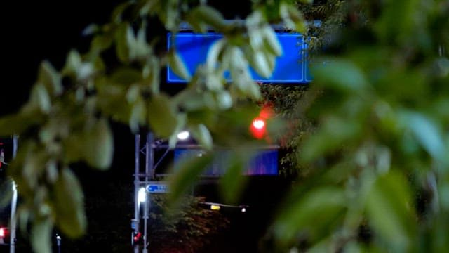 Traffic lights visible through leaves swaying in the night breeze