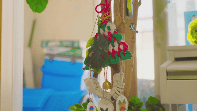 실내 나무에 크리스마스 장식