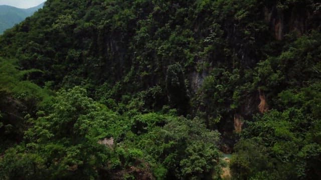 푸르고 울창한 숲으로 가득한 산