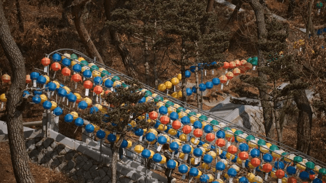 숲길에 걸린 다채로운 연등