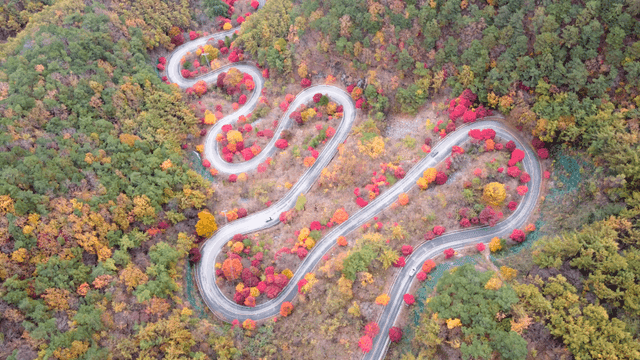 Winding road through colorful autumn forest