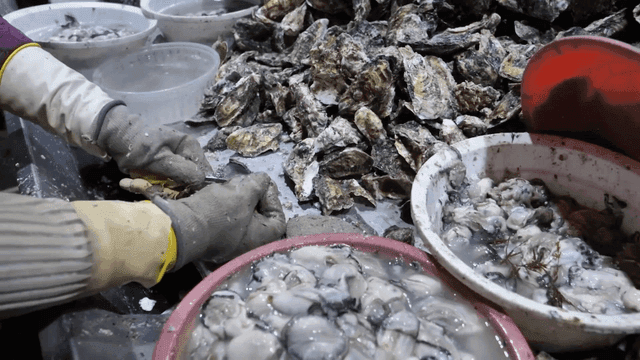 Hands that quickly shuck raw oyster shells