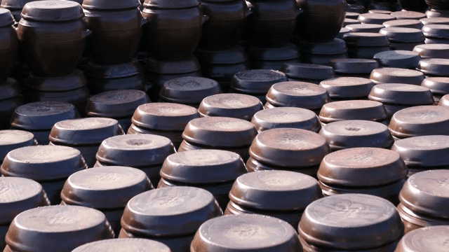 가지런히 진열되어 있는 전통 한국 항아리