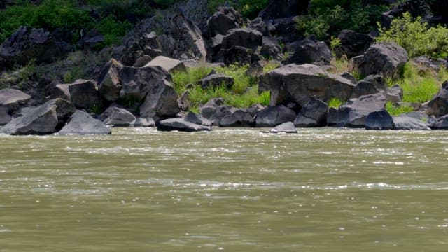 흐르는 물과 바위가 있는 강변
