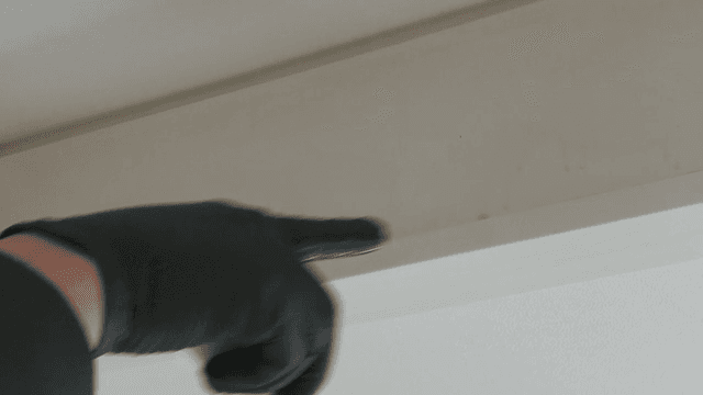 장갑 낀 손으로 먼지 쌓인 선반 청소