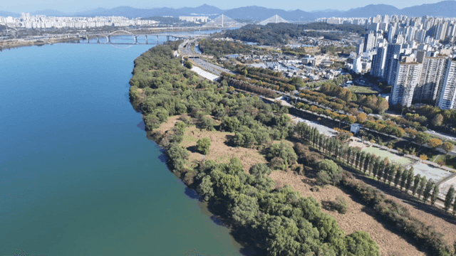 River flowing beside a cityscape