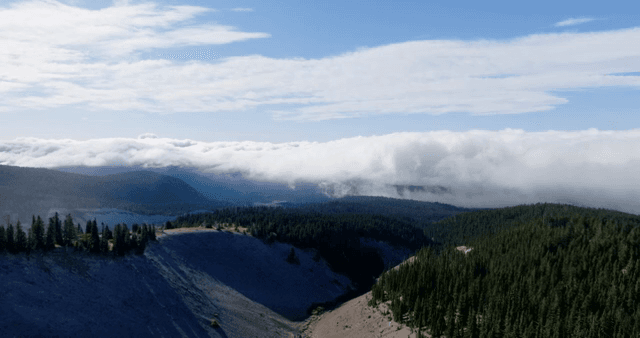 Mountain landscape with clouds and forest