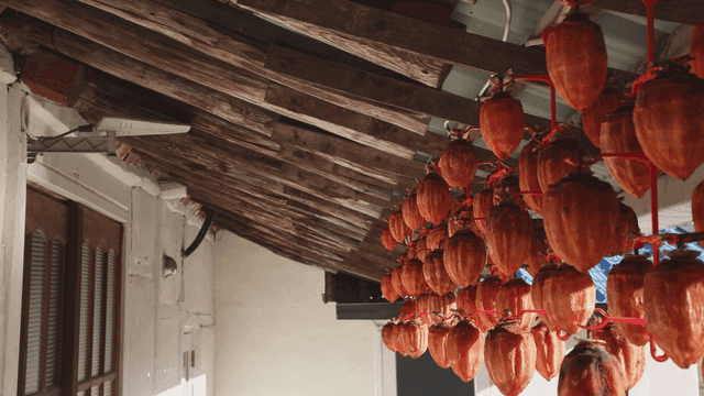 나무 지붕 아래 매달린 곶감