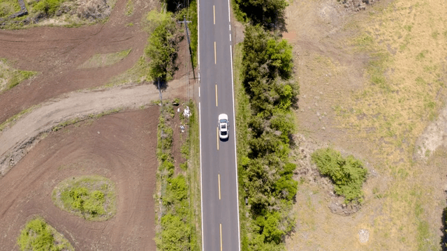 숲길을 달리는 자동차