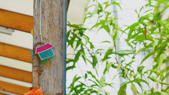 햇살 아래 나무 배경의 집모양 장식이 걸린 나무 기둥