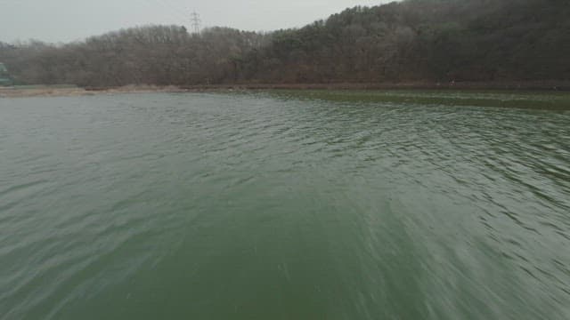 나무 산책로가 있는 고요한 호숫가