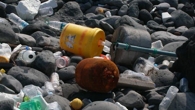 Plastic waste among rocks on a polluted shore