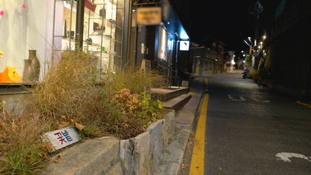 Alley with several stores lit up at night