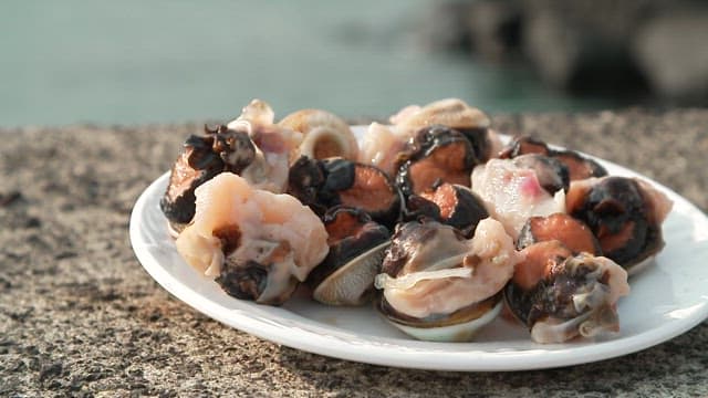 Plate of fresh seafood on a seaside rock