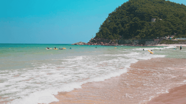 해변에서 물놀이를 즐기는 사람들