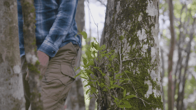 숲속 나무 옆에 서 있는 사람