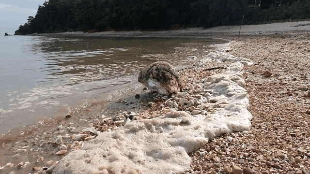 A rocky beach with gentle waves
