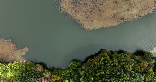 Serene lake with greenery