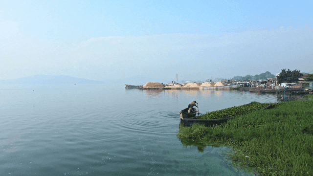 Man rowing boat on calm lake