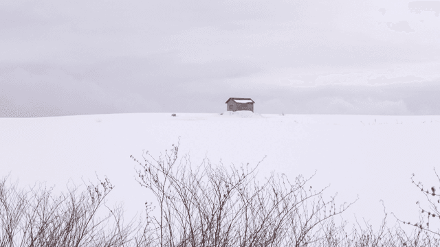 Snow-covered field and house