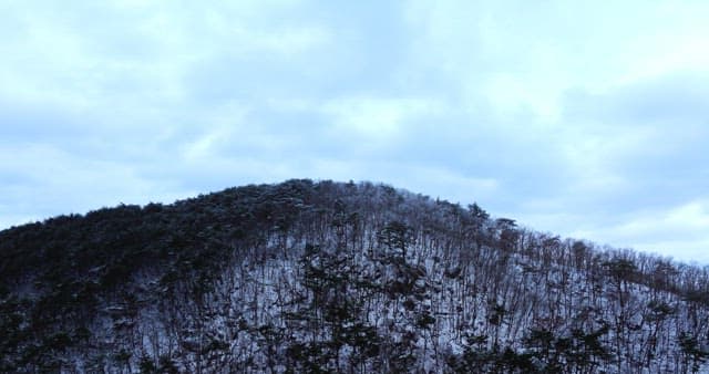 Snow-covered mountains and forests under cloudy skies