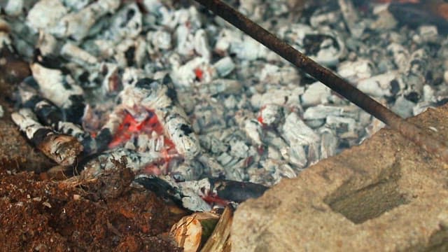 Eels grilling on a barbecue over coals