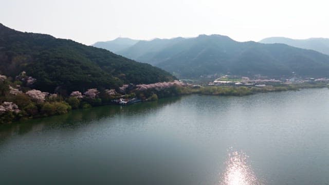 Serene lake surrounded by cherry blossoms