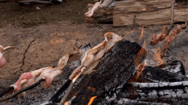 Outdoor cooking with meat over a fire