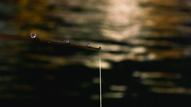 잔잔하게 출렁이는 물 표면에서의 밤 낚시