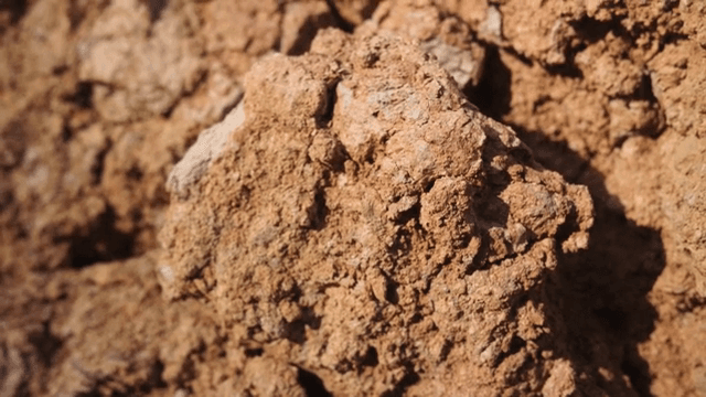 뭉쳐있는 진흙 표면