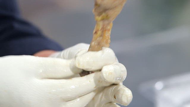 Gloved hand holding a cooked chicken leg