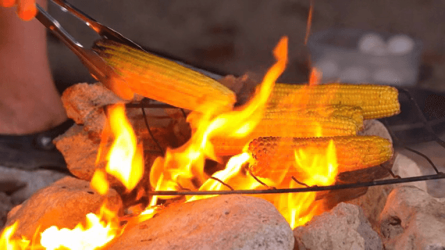 불 위에서 옥수수 굽기