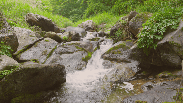 바위 위로 흐르는 작은 시내