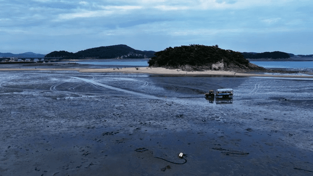 경치 좋은 모래사장에 돌아다니는 관광버스