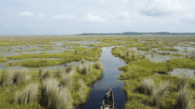 Canoeing through tranquil wetlands