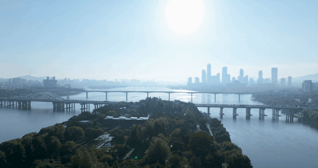 Bridges over river and city skyline
