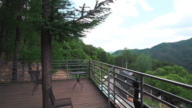 Afternoon view from a wooden observatory overlooking green forest and distant mountains