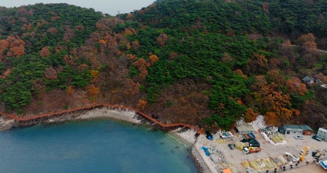 단풍이 물든 숲과 푸른 해변가의 산책로