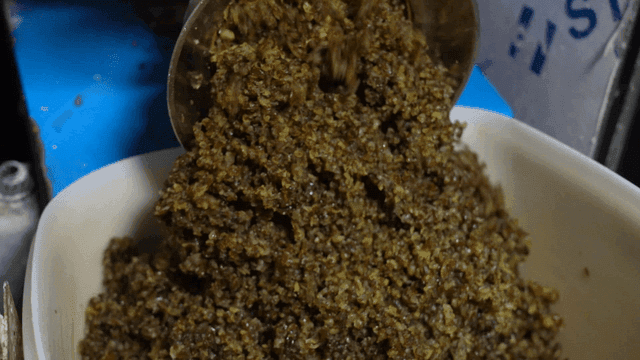 Ground kelp in container