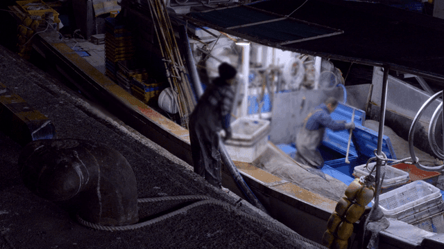 Fishermen working on a boat at night