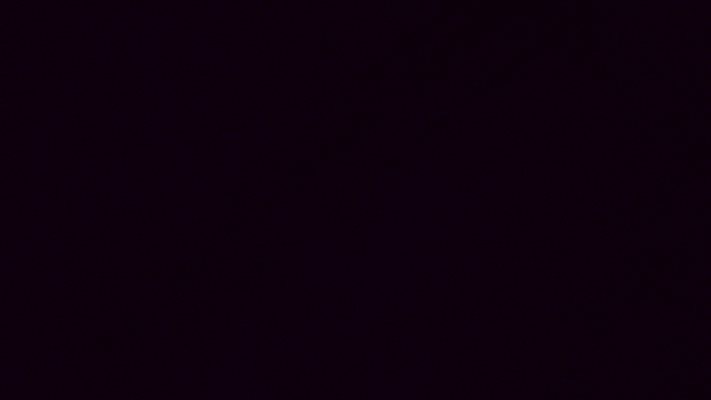 차안 창문 너머로 보이는 터널과 숲