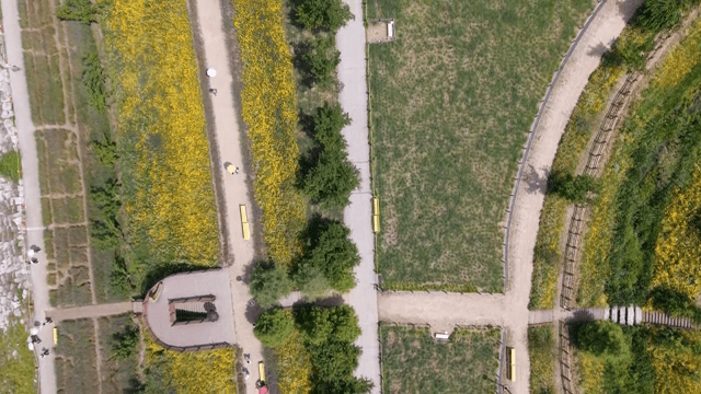 꽃밭이 있는 공원의 항공 뷰