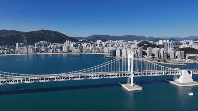 바다 옆 도시 풍경을 가로지르는 다리