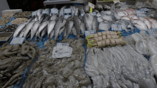 시장에 진열된 다양한 해산물