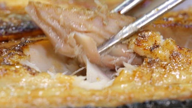 Grilled mackerel being flaked with chopsticks