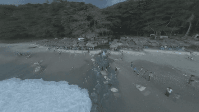 파도와 숲이 있는 아름다운 해안선